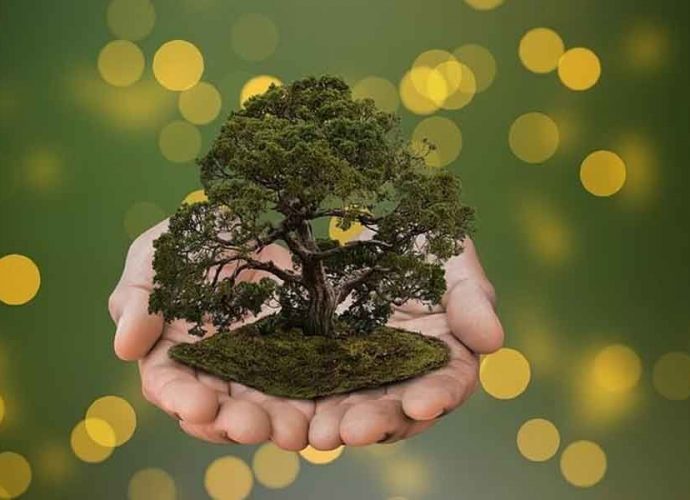 ലോക പ്രകൃതി സംരക്ഷണ ദിനം