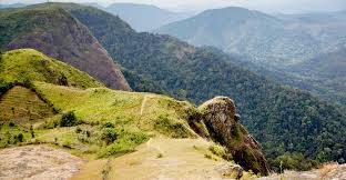 parunthimpara