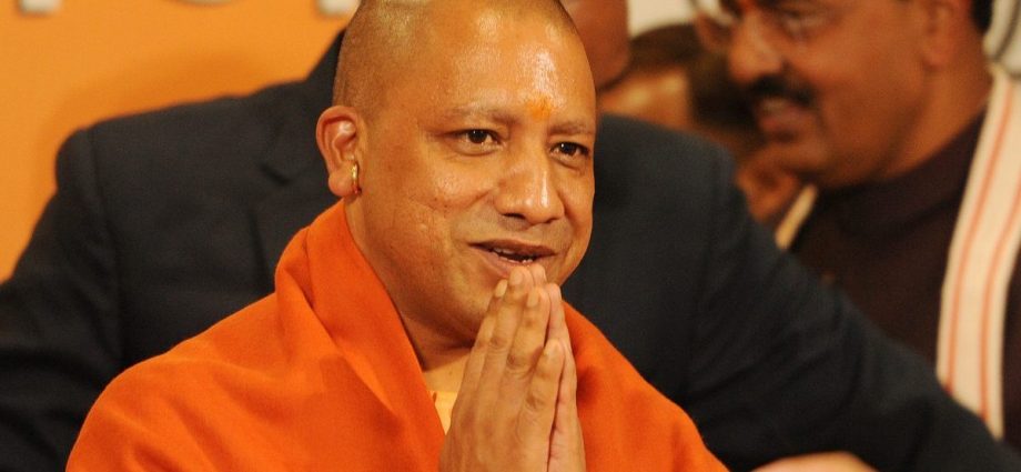 yogi