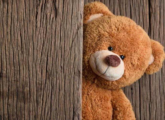 teddy bear