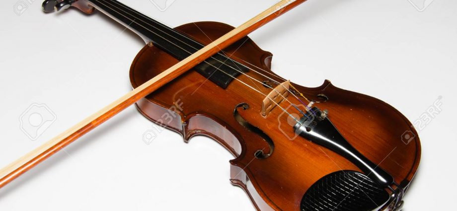 violin