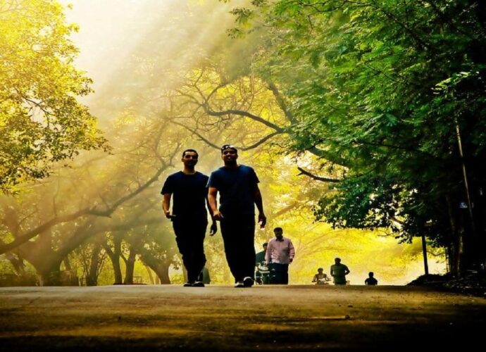 morning walk