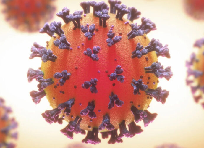 covid