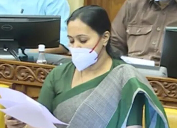 veena